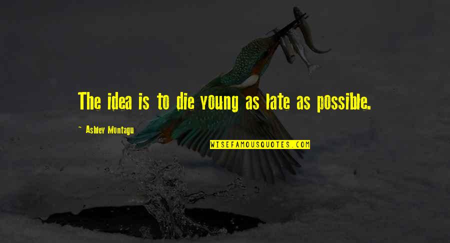 Too Late To Die Young Quotes By Ashley Montagu: The idea is to die young as late