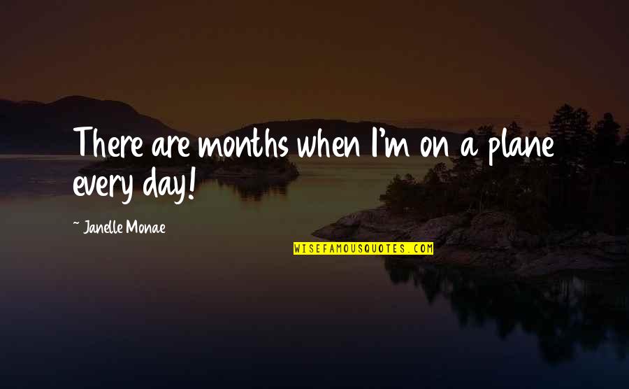 Too Late To Propose Quotes By Janelle Monae: There are months when I'm on a plane