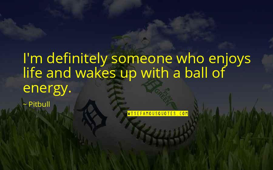 Too Many Cooks In The Kitchen Quotes By Pitbull: I'm definitely someone who enjoys life and wakes