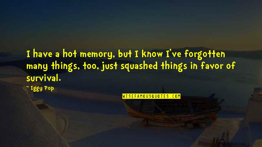 Too Many Things Quotes By Iggy Pop: I have a hot memory, but I know