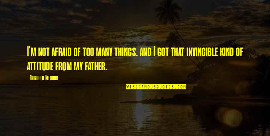 Too Many Things Quotes By Reinhold Niebuhr: I'm not afraid of too many things, and