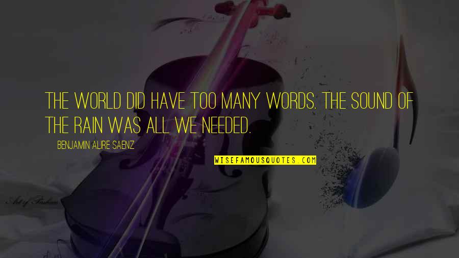 Too Many Words Quotes By Benjamin Alire Saenz: The world did have too many words. The
