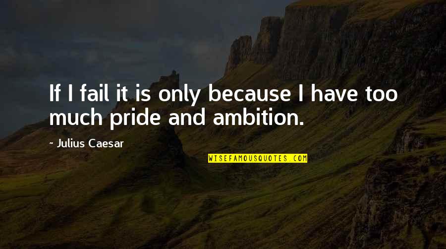 Too Much Ambition Quotes By Julius Caesar: If I fail it is only because I