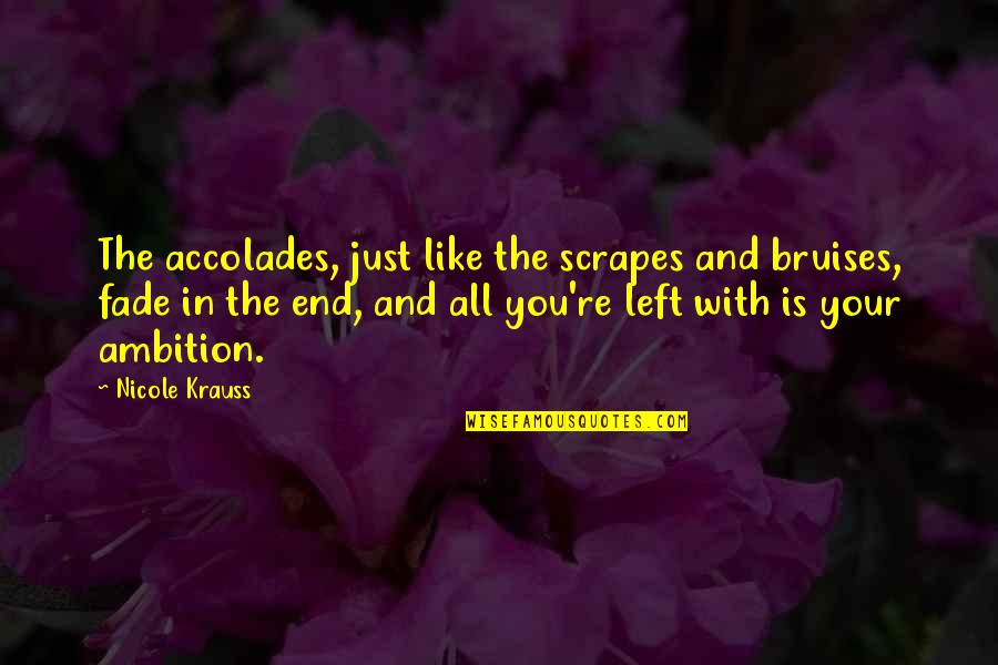 Too Much Ambition Quotes By Nicole Krauss: The accolades, just like the scrapes and bruises,