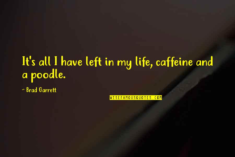 Too Much Caffeine Quotes By Brad Garrett: It's all I have left in my life,