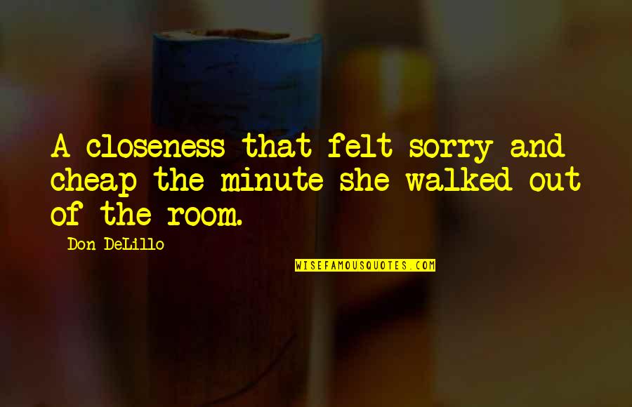 Too Much Closeness Quotes By Don DeLillo: A closeness that felt sorry and cheap the