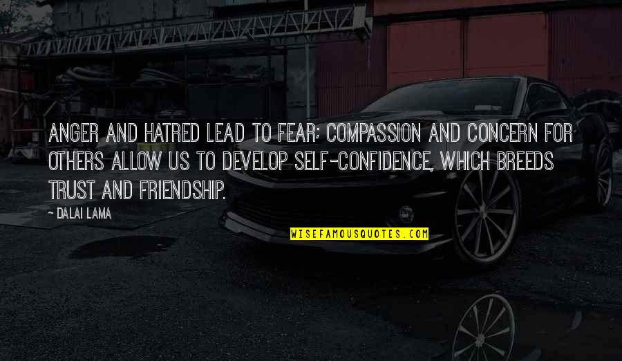 Too Much Concern Quotes By Dalai Lama: Anger and hatred lead to fear; compassion and