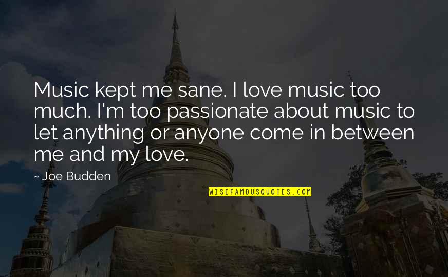 Too Much In Love Quotes By Joe Budden: Music kept me sane. I love music too