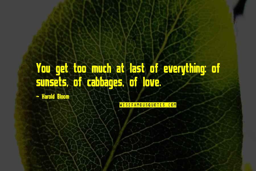 Too Much Love Quotes By Harold Bloom: You get too much at last of everything: