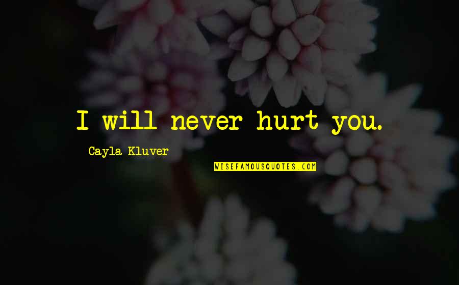Too Much Love Will Hurt You Quotes By Cayla Kluver: I will never hurt you.