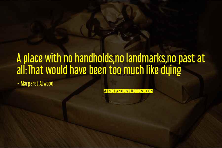 Too Much Memories Quotes By Margaret Atwood: A place with no handholds,no landmarks,no past at