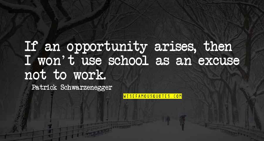 Too Much School Work Quotes By Patrick Schwarzenegger: If an opportunity arises, then I won't use