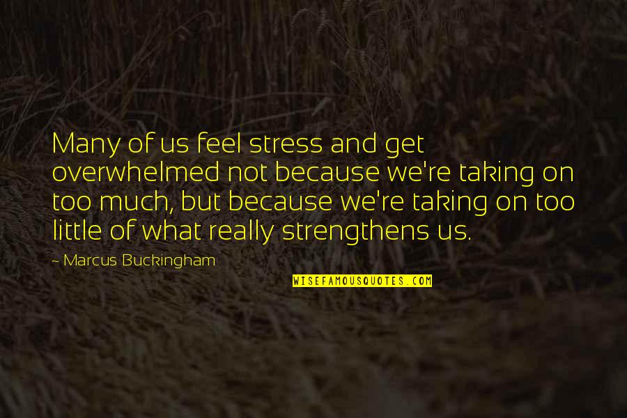 Too Much Stress Quotes By Marcus Buckingham: Many of us feel stress and get overwhelmed