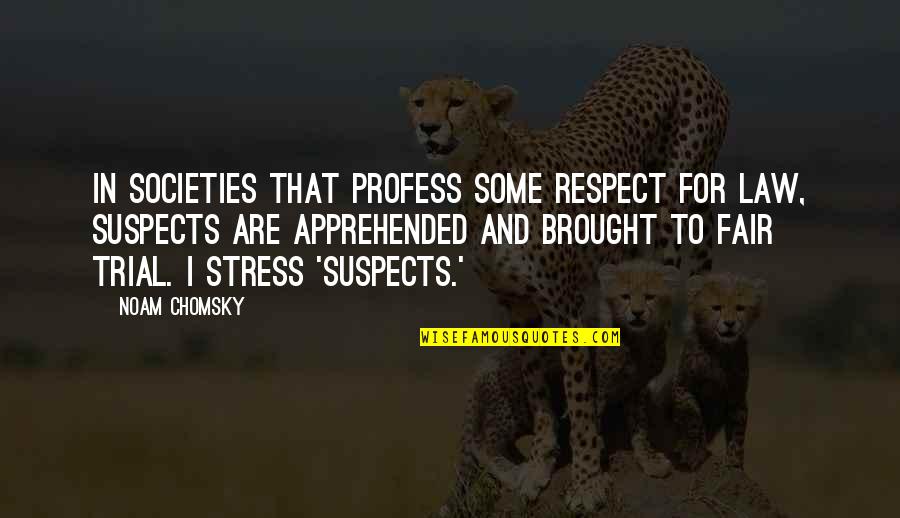 Too Much Stress Quotes By Noam Chomsky: In societies that profess some respect for law,