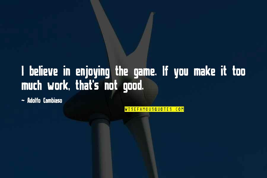 Too Much Work Quotes By Adolfo Cambiaso: I believe in enjoying the game. If you