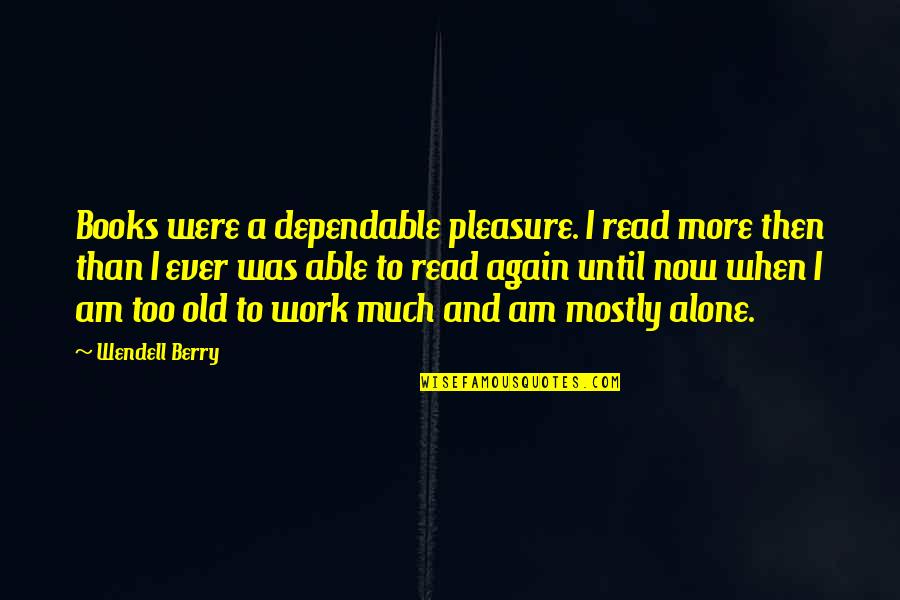 Too Much Work Quotes By Wendell Berry: Books were a dependable pleasure. I read more