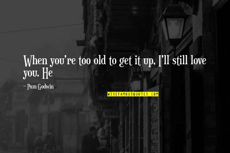 Too Old To Quotes By Pam Godwin: When you're too old to get it up,