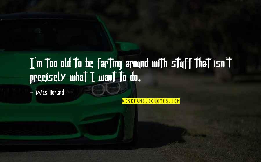 Too Old To Quotes By Wes Borland: I'm too old to be farting around with