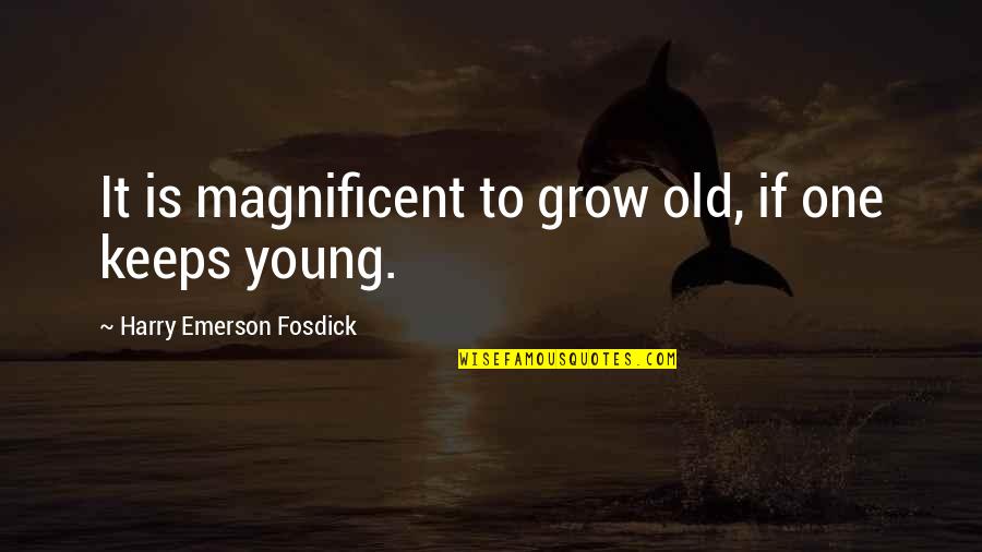Too Young To Be Old Quotes By Harry Emerson Fosdick: It is magnificent to grow old, if one