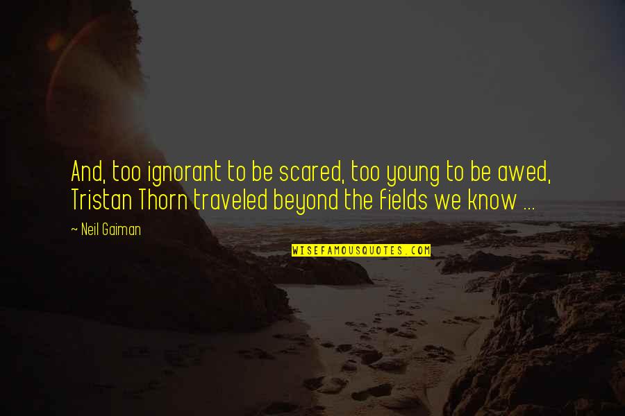 Too Young To Know Quotes By Neil Gaiman: And, too ignorant to be scared, too young