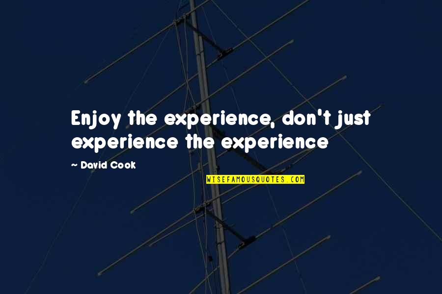 Tooling Quotes By David Cook: Enjoy the experience, don't just experience the experience