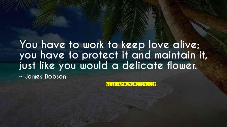 Toomer Quotes By James Dobson: You have to work to keep love alive; Toomer Quotes By James Dobson: You have to work to keep love alive;