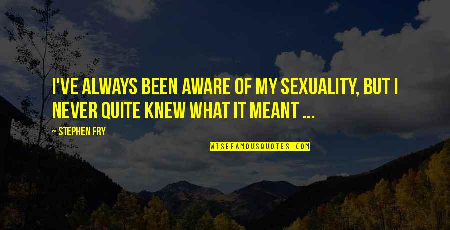 Toonstruck Quotes By Stephen Fry: I've always been aware of my sexuality, but