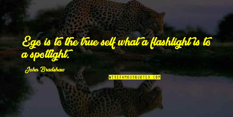 Toothaches At Night Quotes By John Bradshaw: Ego is to the true self what a Toothaches At Night Quotes By John Bradshaw: Ego is to the true self what a