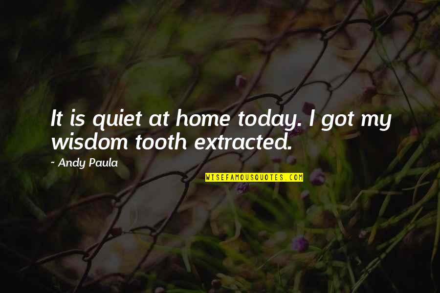 Tooth's Quotes By Andy Paula: It is quiet at home today. I got