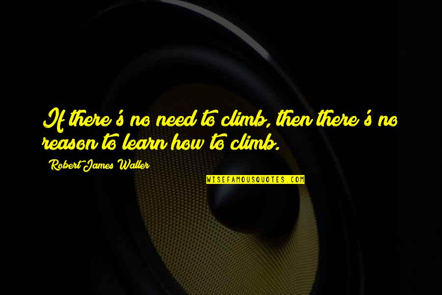 Top 10 Inspirational Life Quotes By Robert James Waller: If there's no need to climb, then there's