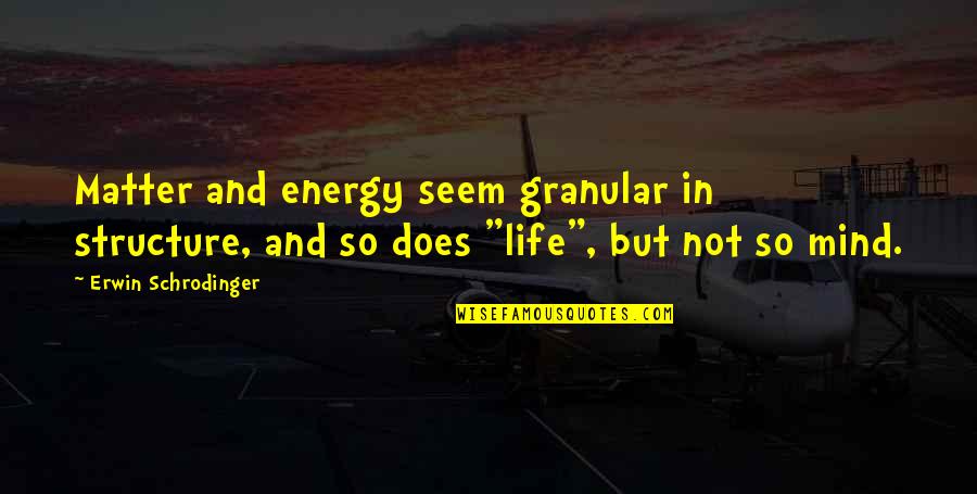 Top 10 Karma Quotes By Erwin Schrodinger: Matter and energy seem granular in structure, and Top 10 Karma Quotes By Erwin Schrodinger: Matter and energy seem granular in structure, and
