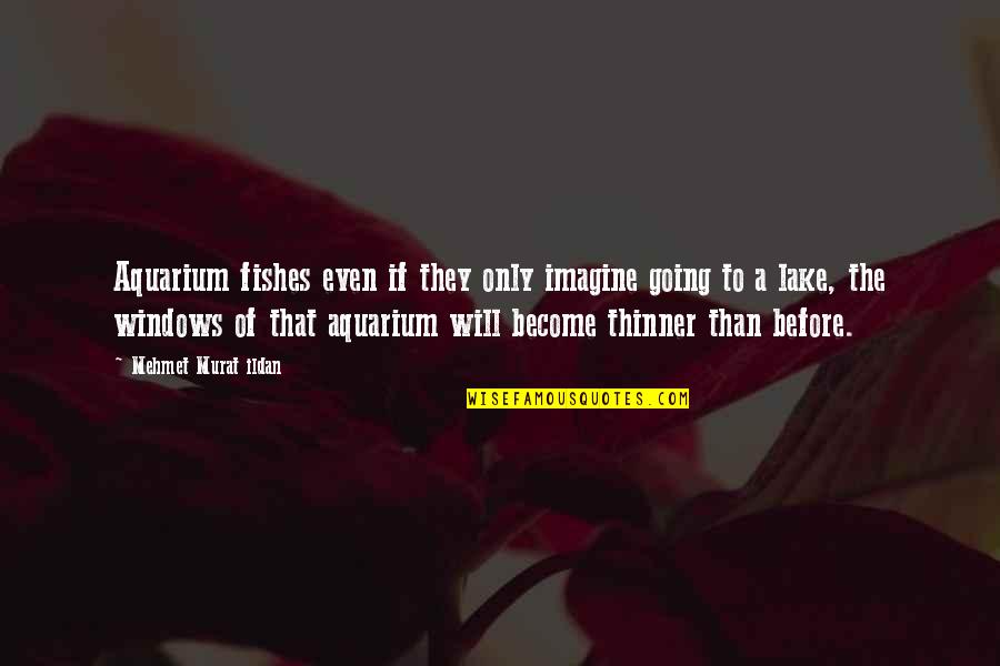 Top 100 Motivational Movie Quotes By Mehmet Murat Ildan: Aquarium fishes even if they only imagine going