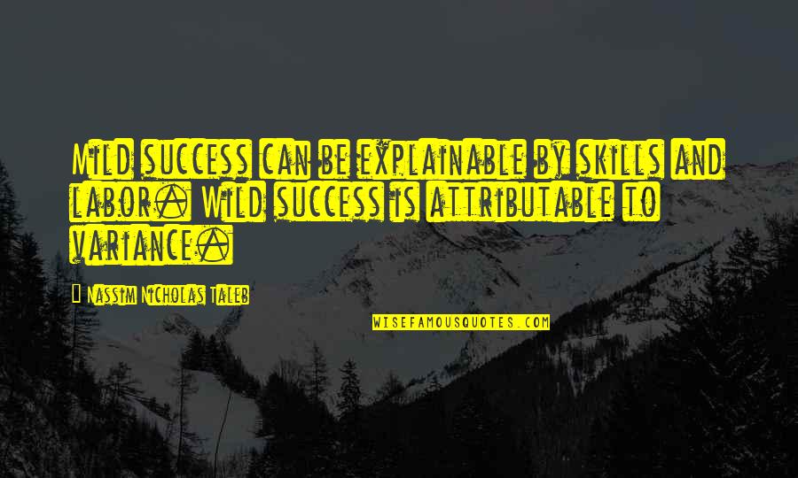 Top 20 Wisdom Quotes By Nassim Nicholas Taleb: Mild success can be explainable by skills and Top 20 Wisdom Quotes By Nassim Nicholas Taleb: Mild success can be explainable by skills and
