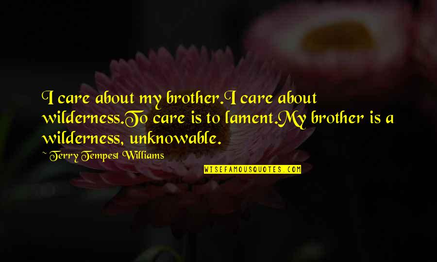 Top 50 Quotes By Terry Tempest Williams: I care about my brother.I care about wilderness.To