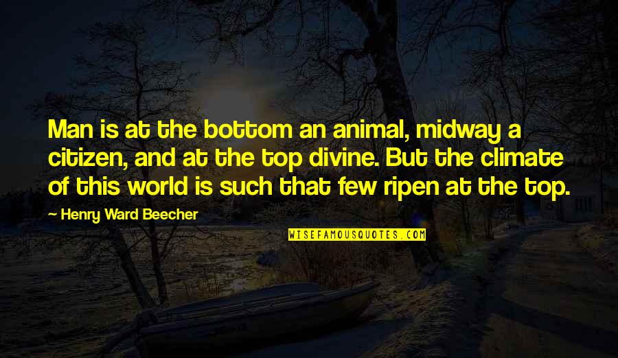 Top And Bottom Quotes By Henry Ward Beecher: Man is at the bottom an animal, midway