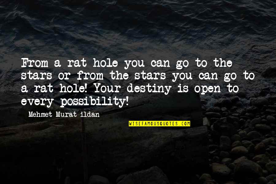 Top B99 Quotes By Mehmet Murat Ildan: From a rat hole you can go to Top B99 Quotes By Mehmet Murat Ildan: From a rat hole you can go to