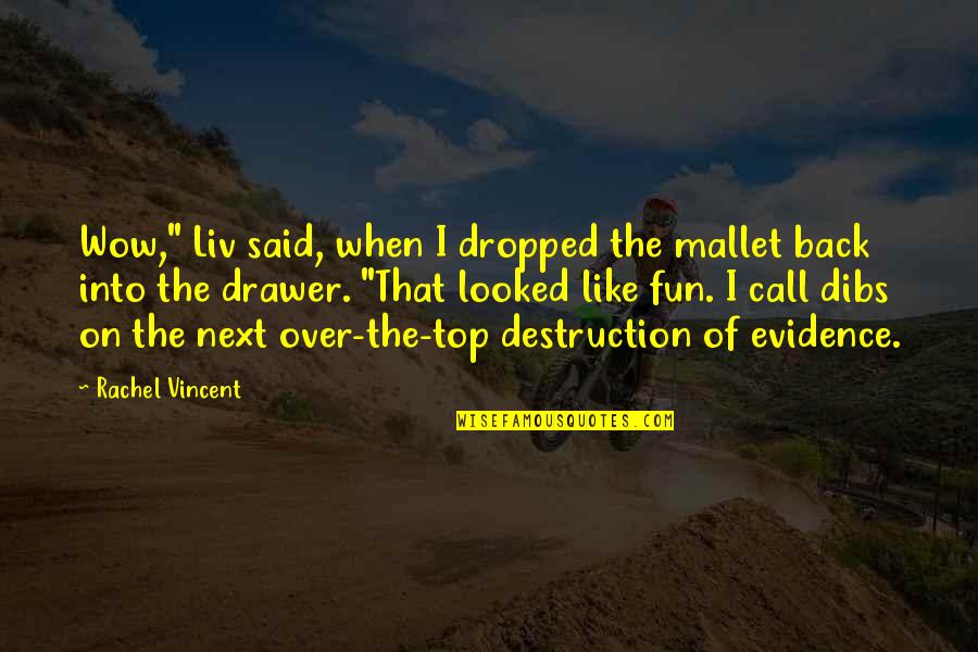 Top Drawer Quotes By Rachel Vincent: Wow," Liv said, when I dropped the mallet