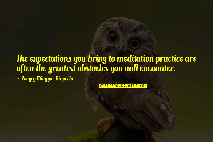 Top Five Most Famous Quotes By Yongey Mingyur Rinpoche: The expectations you bring to meditation practice are