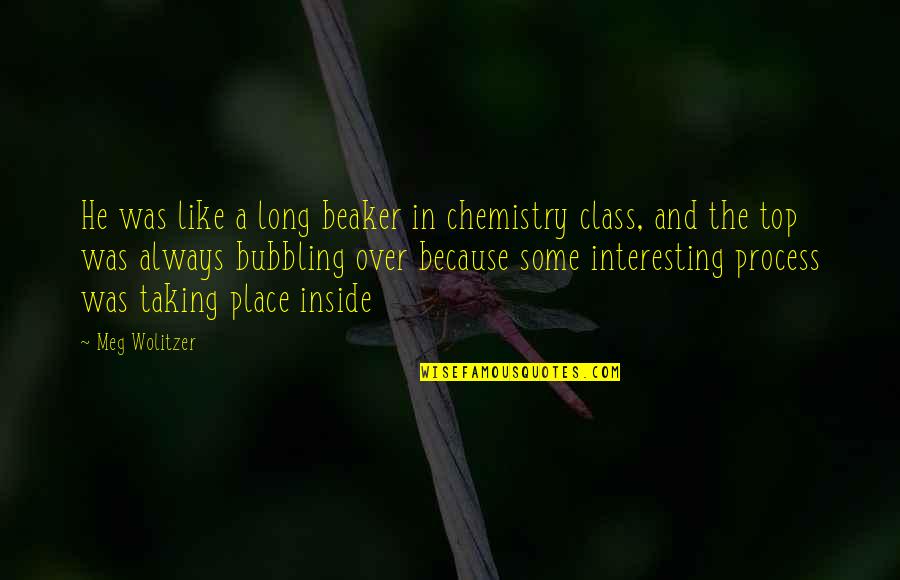 Top In Class Quotes By Meg Wolitzer: He was like a long beaker in chemistry