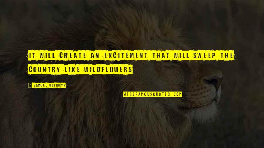 Top Instagram Accounts Quotes By Samuel Goldwyn: It will create an excitement that will sweep
