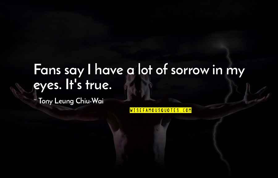 Top Jumanji Quotes By Tony Leung Chiu-Wai: Fans say I have a lot of sorrow