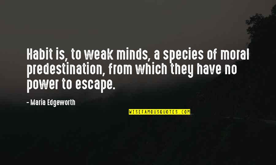 Top Nietzsche Quotes By Maria Edgeworth: Habit is, to weak minds, a species of Top Nietzsche Quotes By Maria Edgeworth: Habit is, to weak minds, a species of