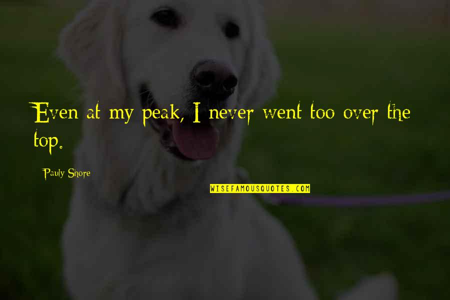 Top Of The Peak Quotes By Pauly Shore: Even at my peak, I never went too
