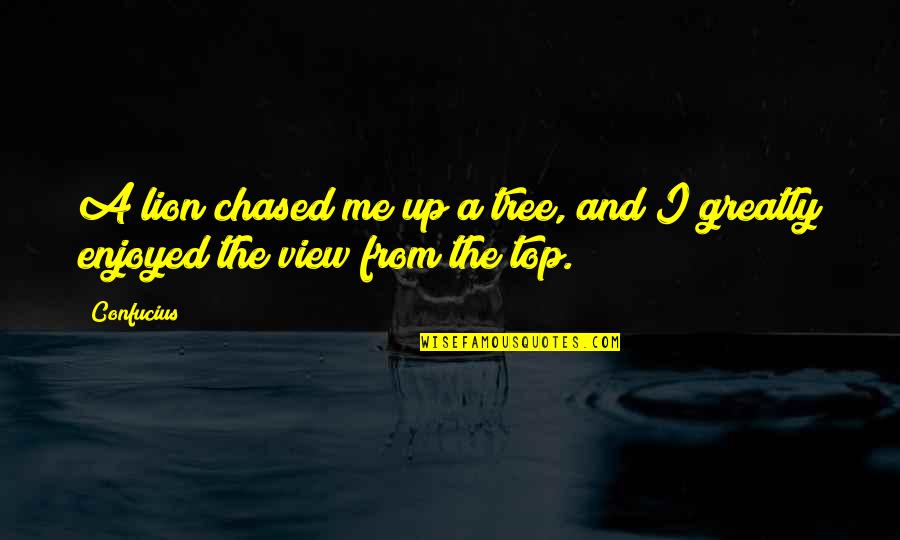 Top Of The Tree Quotes By Confucius: A lion chased me up a tree, and