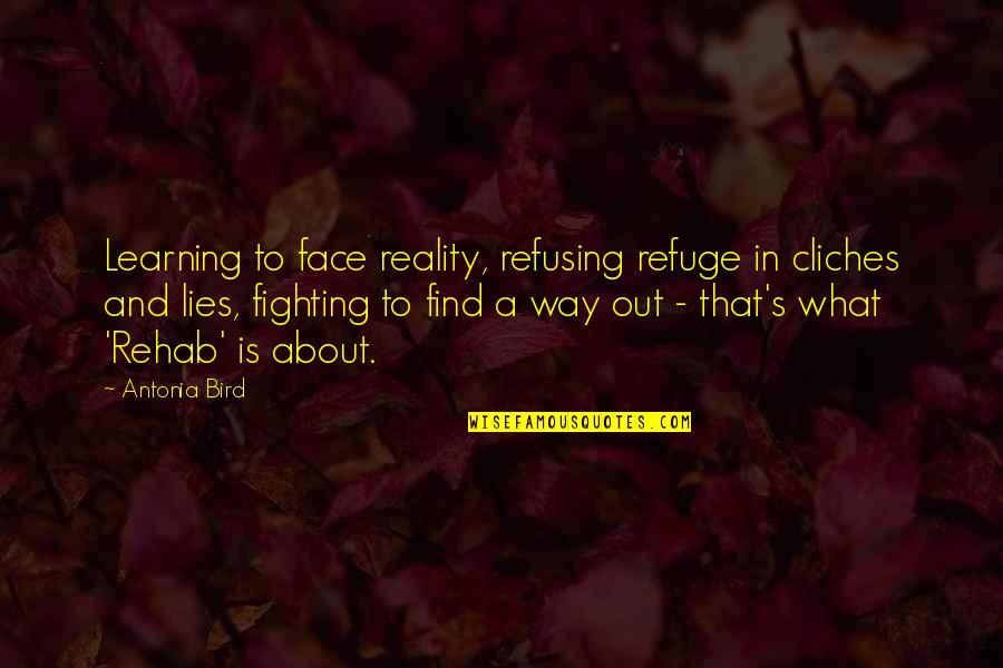 Top Phoebe Quotes By Antonia Bird: Learning to face reality, refusing refuge in cliches Top Phoebe Quotes By Antonia Bird: Learning to face reality, refusing refuge in cliches