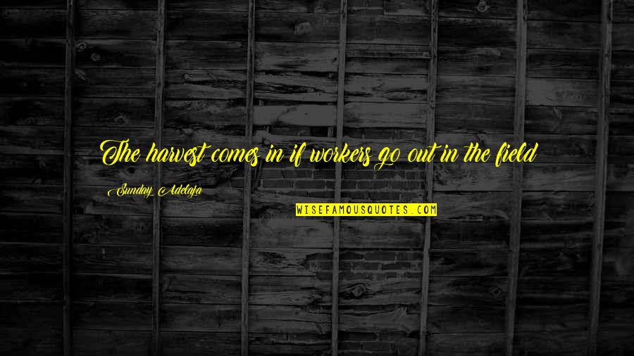 Top Quote Quotes By Sunday Adelaja: The harvest comes in if workers go out Top Quote Quotes By Sunday Adelaja: The harvest comes in if workers go out
