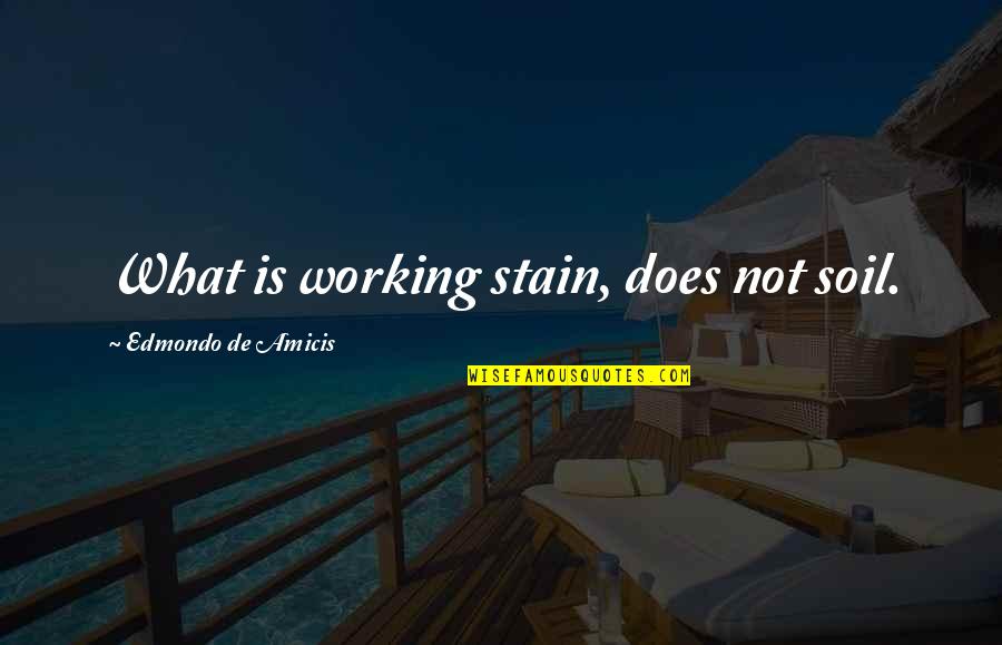 Top Ranked Love Quotes By Edmondo De Amicis: What is working stain, does not soil.