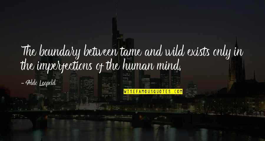 Top Tracy Jordan Quotes By Aldo Leopold: The boundary between tame and wild exists only Top Tracy Jordan Quotes By Aldo Leopold: The boundary between tame and wild exists only