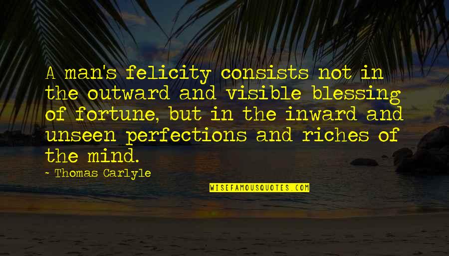 Top View Quotes By Thomas Carlyle: A man's felicity consists not in the outward