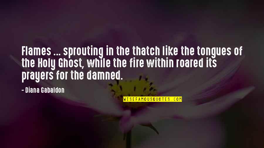 Top Ya Book Quotes By Diana Gabaldon: Flames ... sprouting in the thatch like the